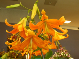 Foto: Dr. Peter Müller